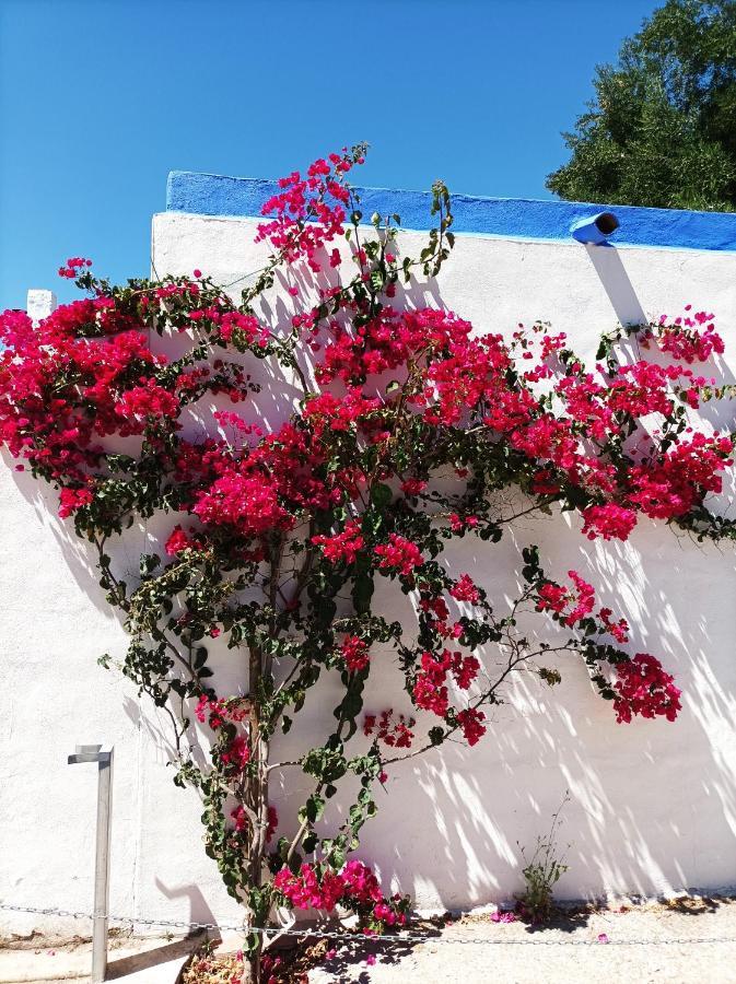 Casa Kilmar Bed & Breakfast Vejer de la Frontera Ngoại thất bức ảnh