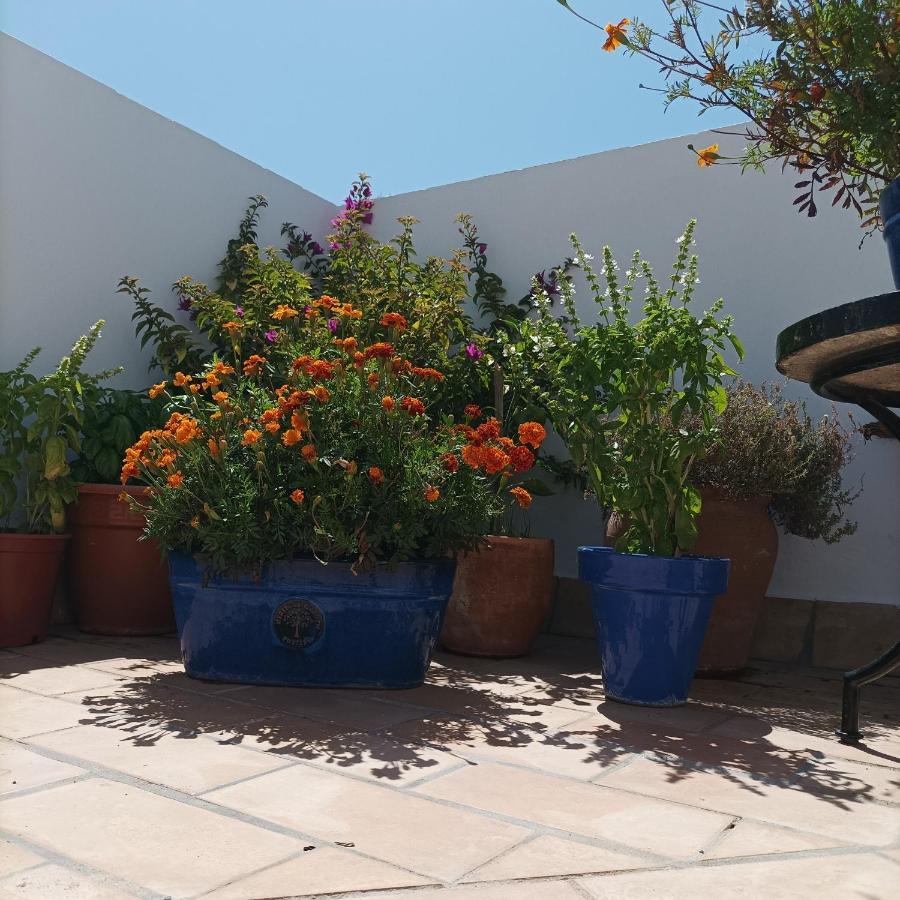 Casa Kilmar Bed & Breakfast Vejer de la Frontera Ngoại thất bức ảnh